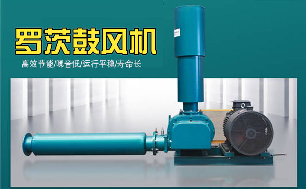 羅茨午夜久久精品
