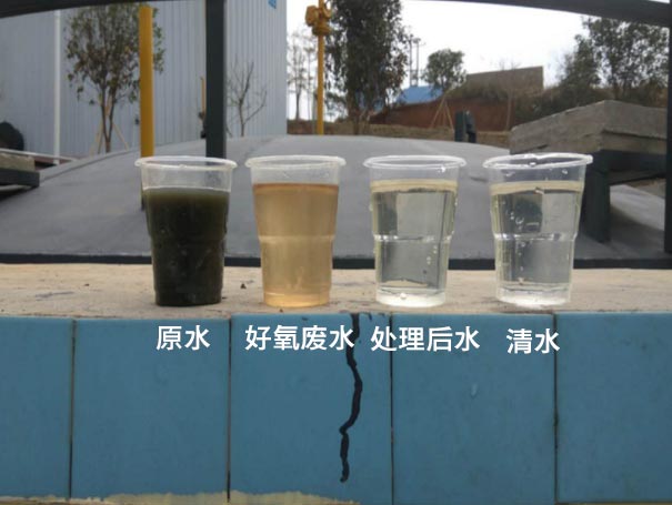 汙水曝氣羅茨鼓午夜久久精品應用案例