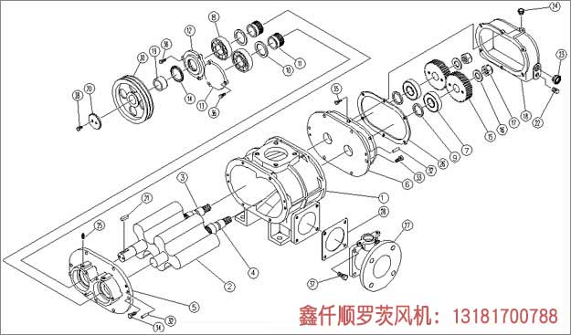 羅茨午夜久久精品工作組成部件