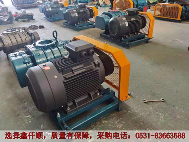 高壓羅茨鼓午夜久久精品 發貨廣西高壓羅茨鼓午夜久久精品XQSSR15030KW6台(圖2)